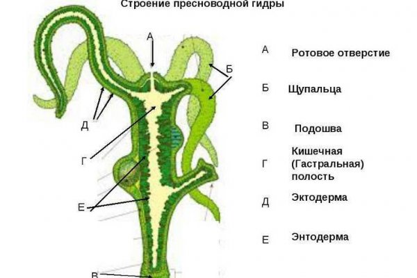 Вход на kraken зеркало