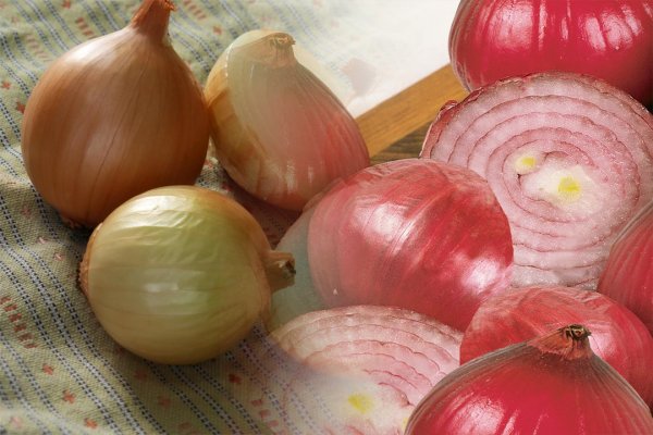 BlackSprut через tor BlackSprut ssylka onion com