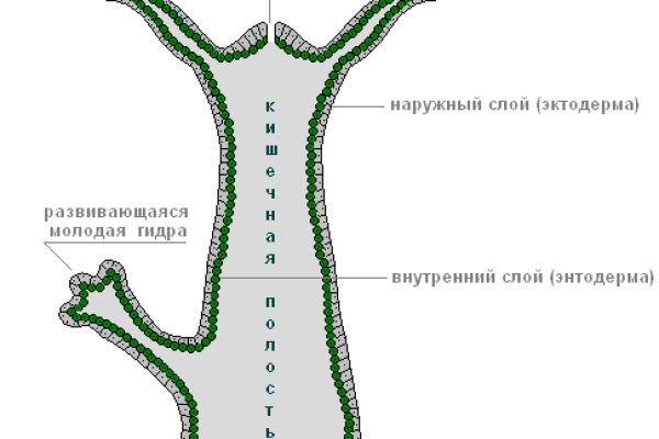 Где посмотреть переводы на меге