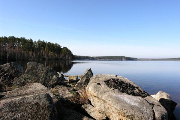 Омг площадка