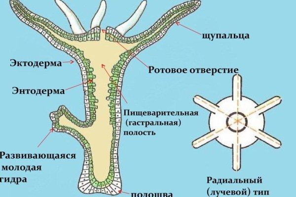 Омг зеркало рабочее на сегодня ссылка тор